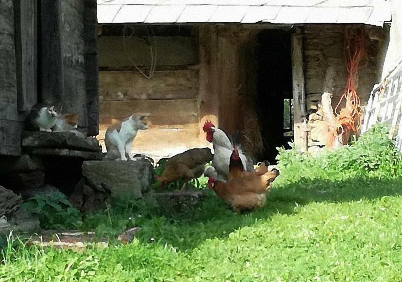 Bauernhof Hatzlhof * Schoeder