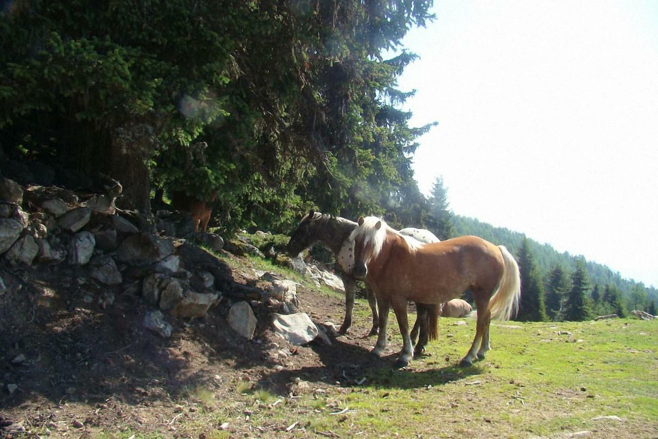 Farm stay Bauernhof Hatzlhof