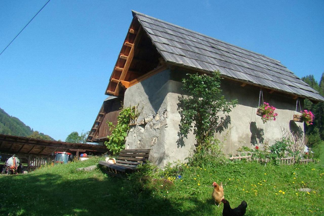 Farm stay Bauernhof Hatzlhof